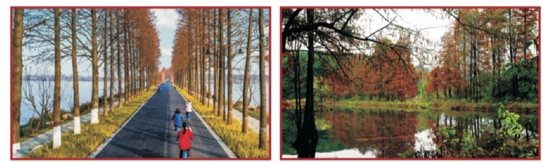 《中职首选》武汉三新职业技术学校2022招生简章