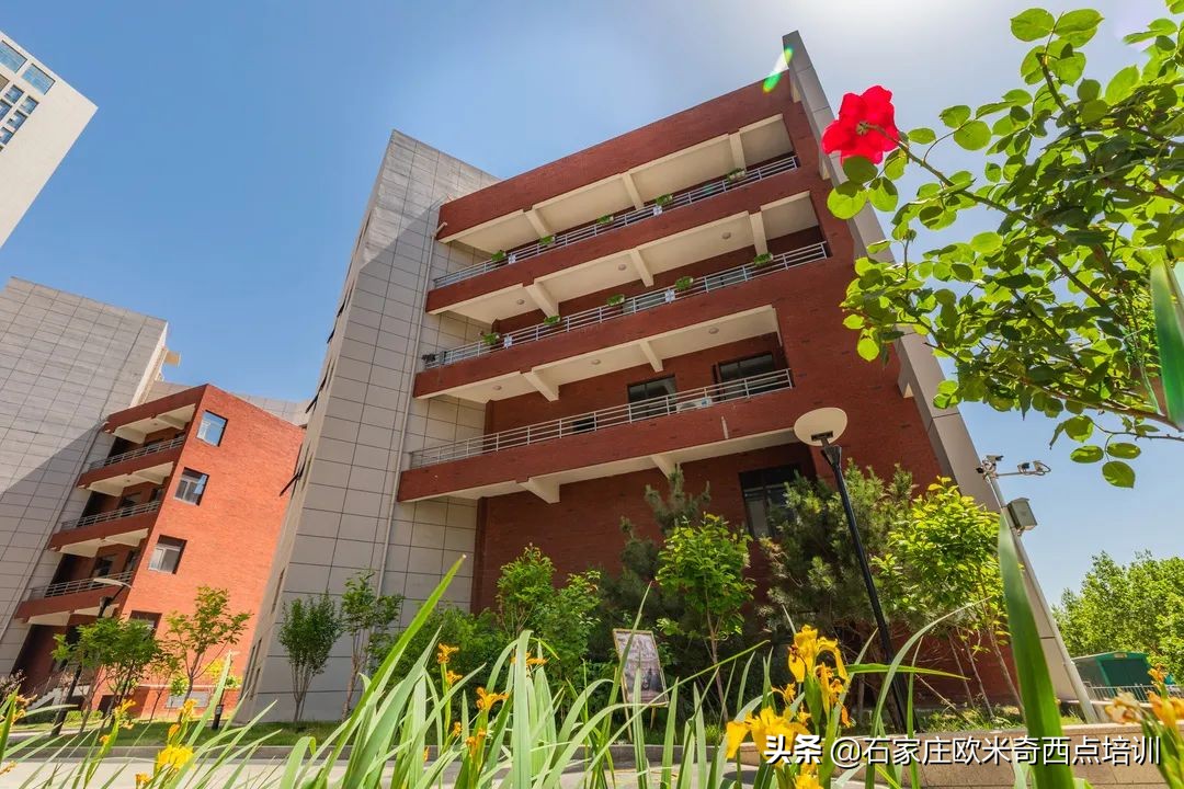 西点培训 学校（在河北有这样一所好西点烘焙学校）