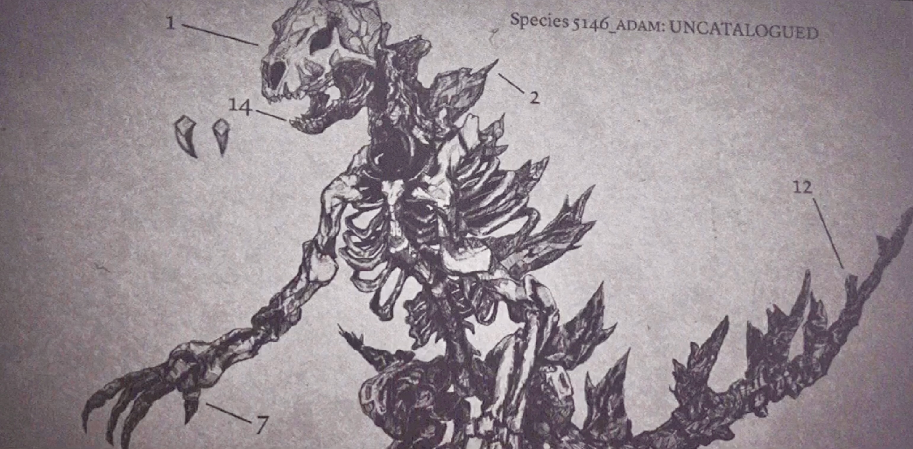 解密《哥斯拉》为什么穆托会是哥斯拉的天敌?