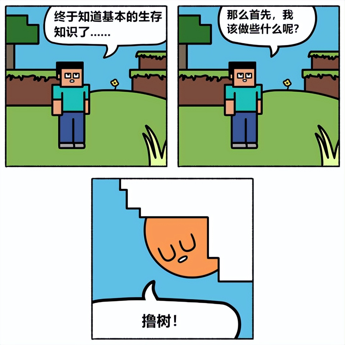 我的世界:来自mc社区,13张只有minecraft玩家秒懂的梗图