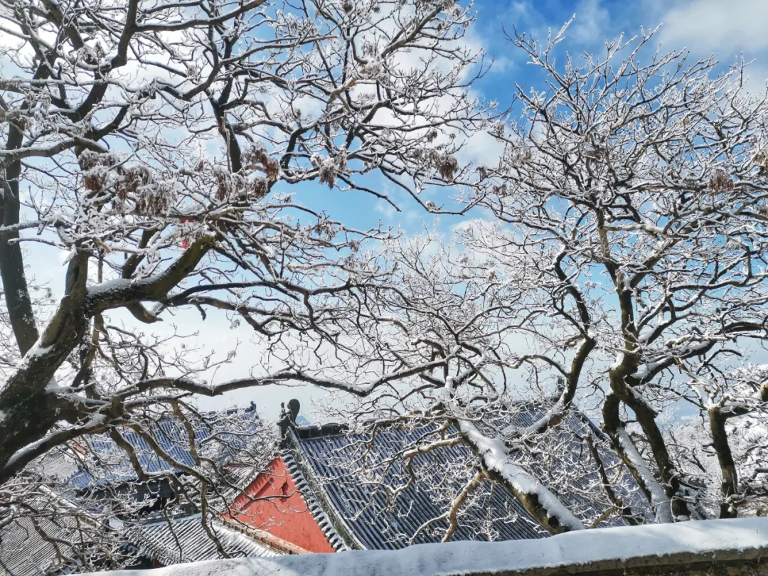 快看，刚拍的！雪后泰山，是山东海拔最高的琼楼仙阁