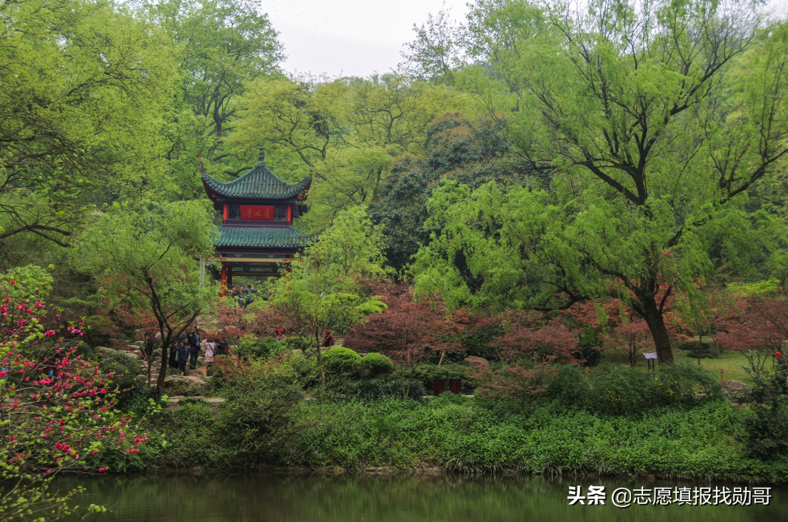 教育部首批50所现代产业学院，含金量原来在这里