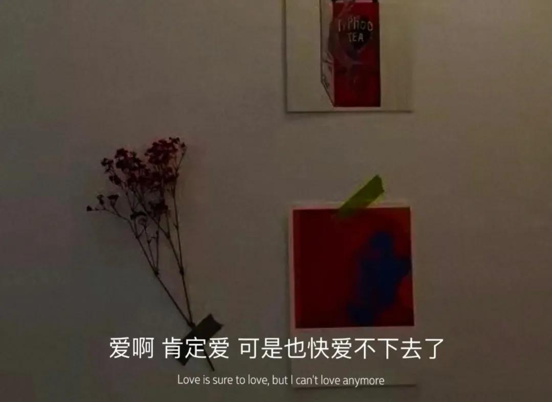 满眼失望的伤感文案//看透了还深陷其中，真的可怜