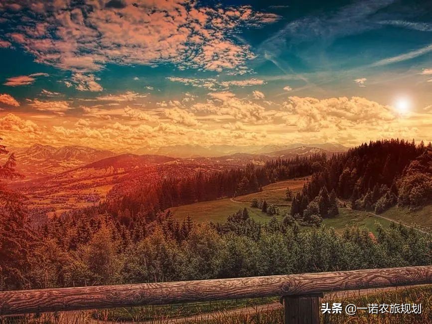 走向市场驱动的文旅融合