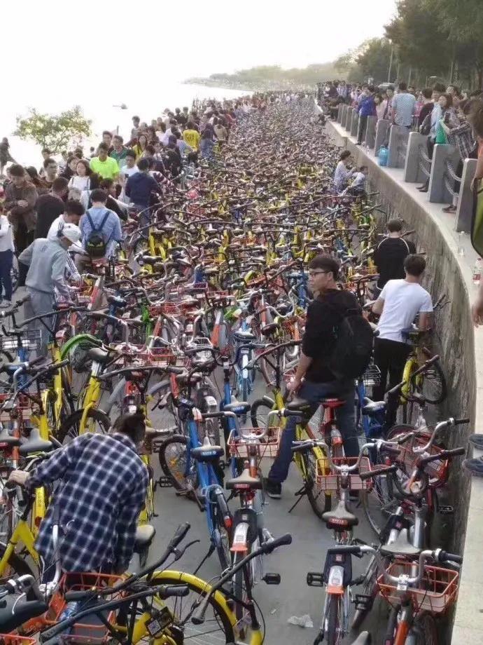 共享单车好不到哪里去