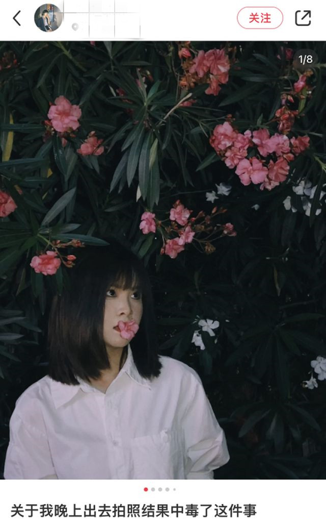 夹竹桃有毒吗？女孩含嘴里拍照后就中毒！太可怕