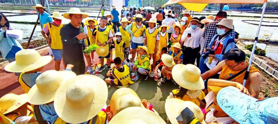 太原市晋源区：稻田公园浓情端午节 别样插秧忙