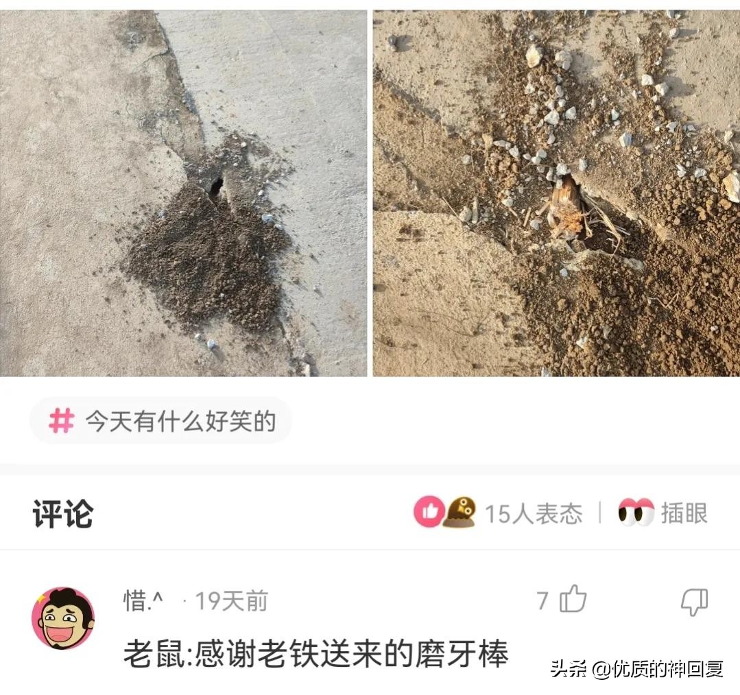 “妹子，你知道衣服上的字是什么意思吗？”哈哈哈自信的女孩最美