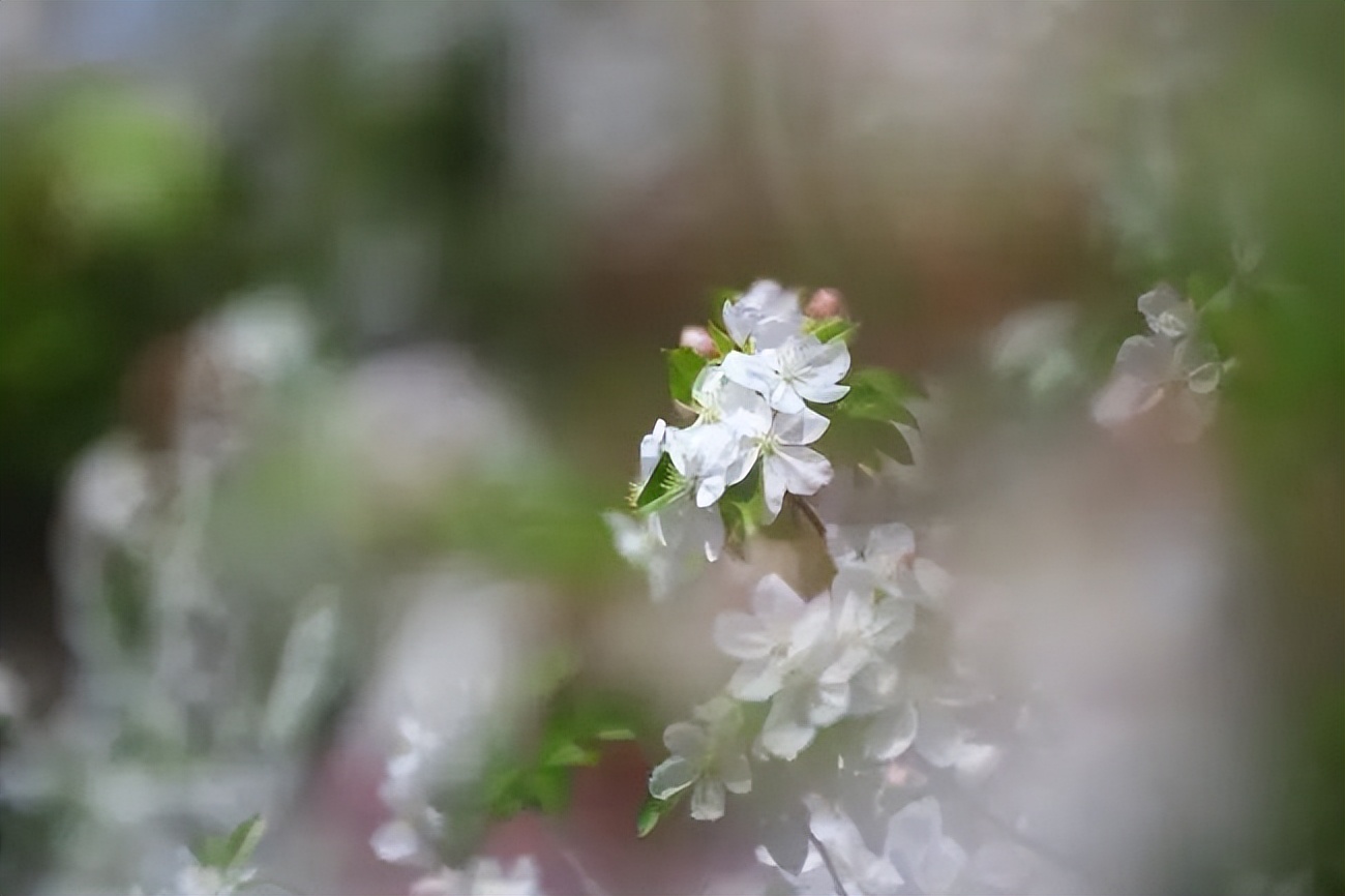 初夏未夏，抓住春天的尾巴~