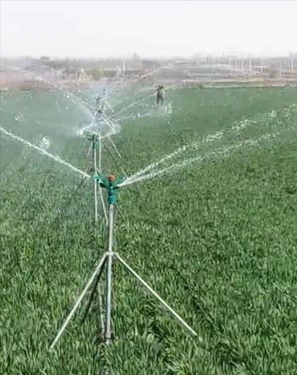 ��������ˡ���ҵ��չע���� �̾��������·