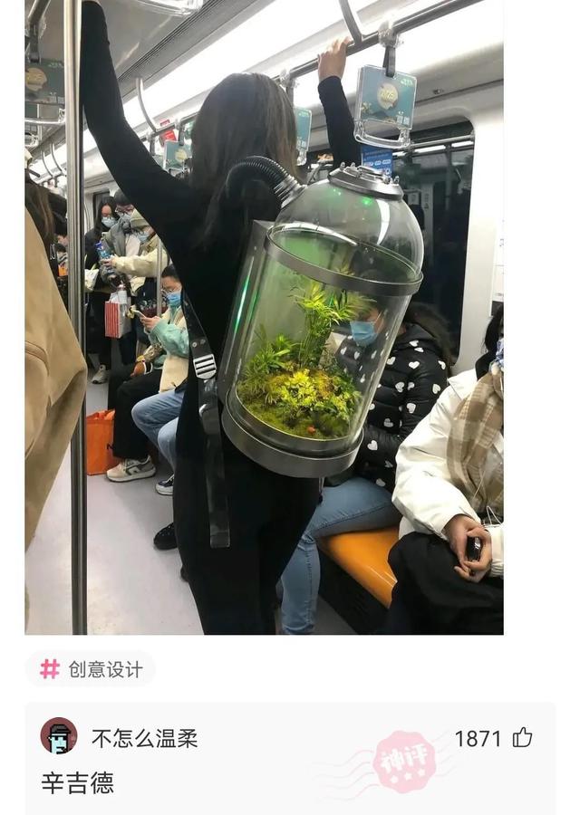 第一次去婆婆家艳惊四座是什么体验？网友：从此在他们村声名大噪