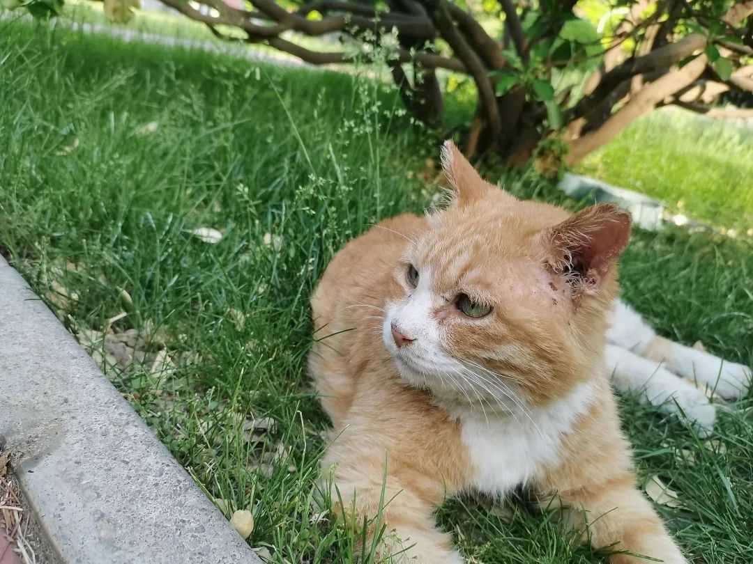 最伟大的作品？也许藏在这里……