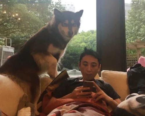 ��˼��һ����Ѱ����ʾѰ�Ұ�Ȯ���ɿɣ����˵�٩�˻�ò���һ����