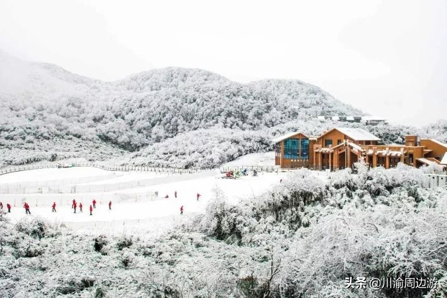 重庆哪里滑雪(重庆5个玩雪胜地，最快2小时可到达)