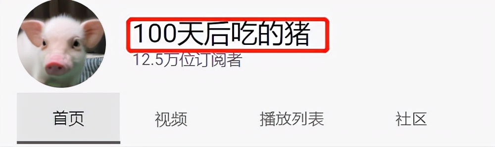 2021年奇异事件Top15：世界最大的兔子被偷、长着人牙的怪鱼
