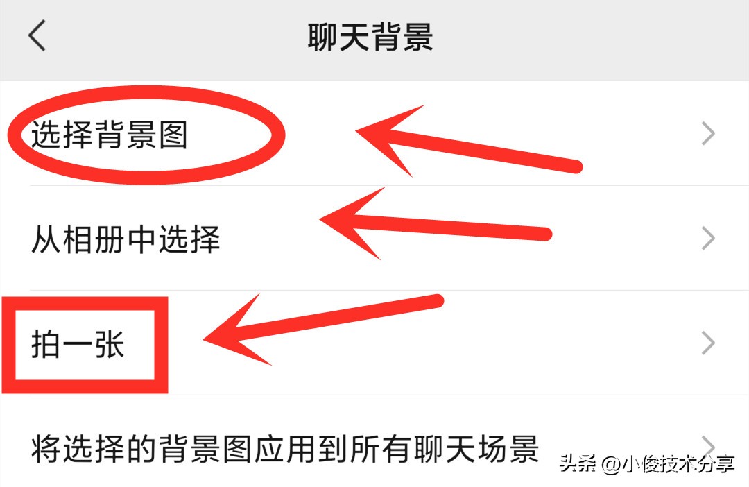 微信怎么设置动态背景（怎么设置微信主题背景）-第5张图片-巴山号