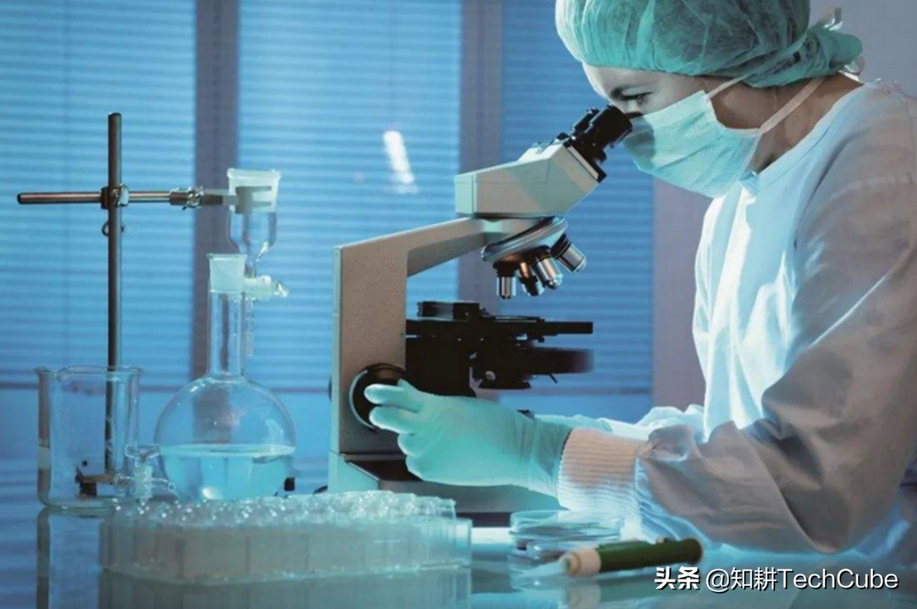 合成生物初创衍微科技获 5000 万人民币天使轮融资