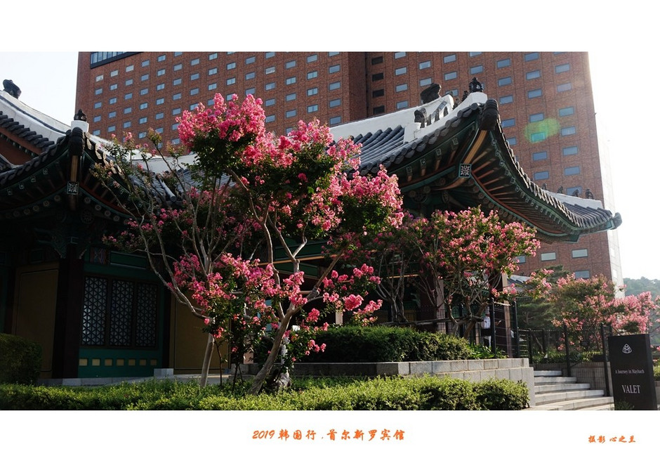 韩国首尔旅行必去的地方是哪里(韩国行游影记（12）——首尔迎宾馆（一）)