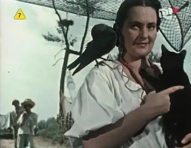 世界电影（0130）波兰电影《华沙美人鱼》（1956）剧照欣赏