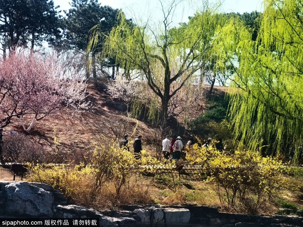 赏花观景老少皆宜，五一登山踏青就来北京这些地方！