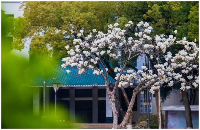 高清大图来袭！湖北高校“最美校花”新鲜出炉！颜值超高，惊艳众人！