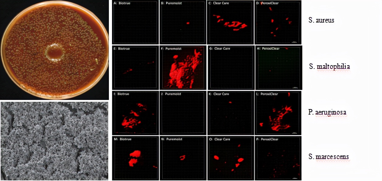 ȫ��������Ĥ�Ӵ�����Ч�������豸��3N�����۾���ԭ����ͨ����֤