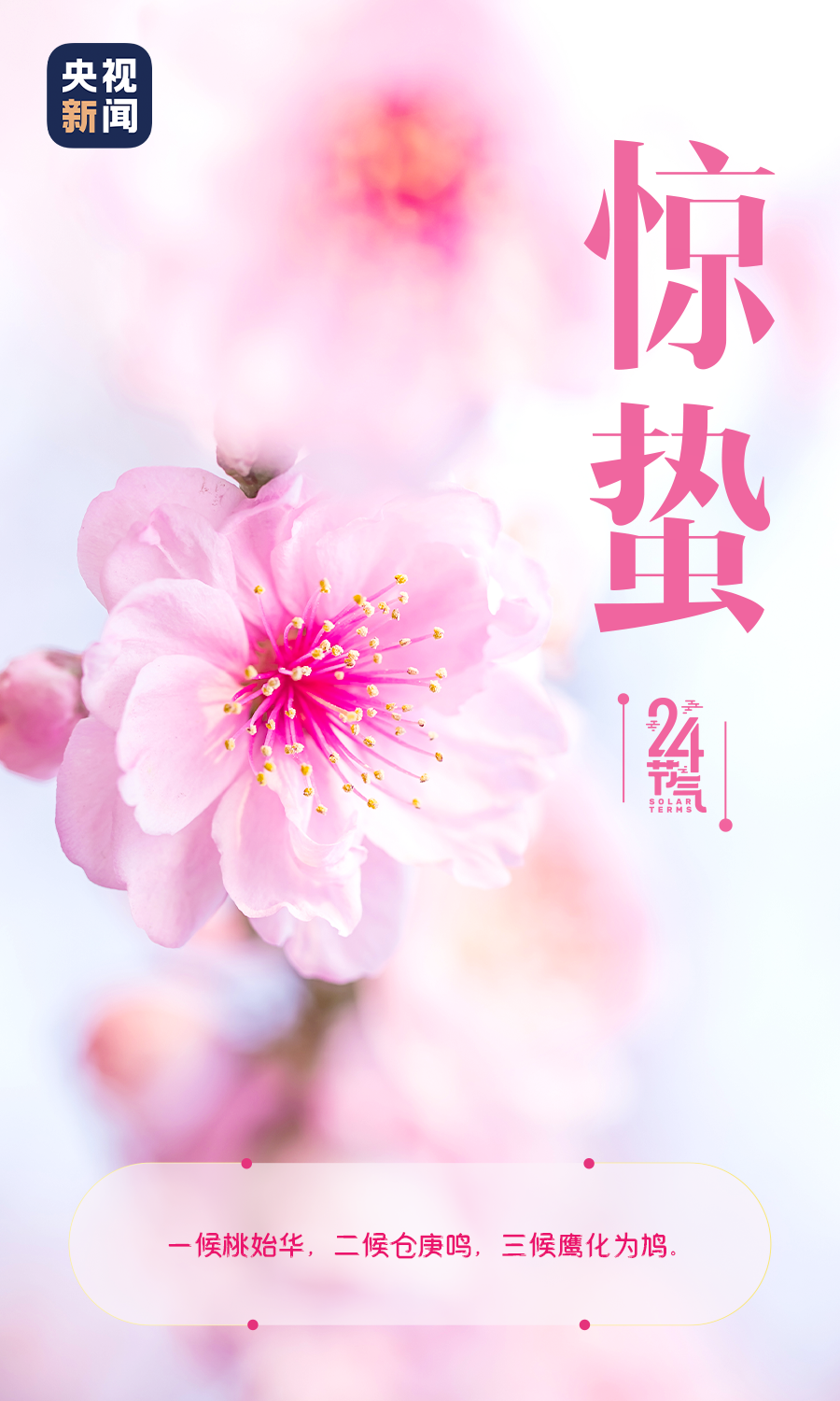 ⷨԷվ