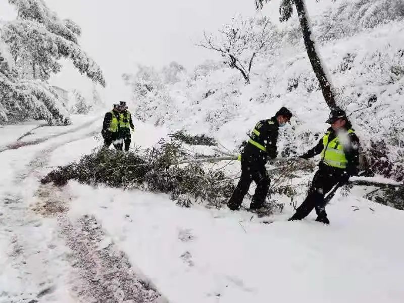 元谋县羊街镇以“动”制冻，积极做好雪后应急救援工作