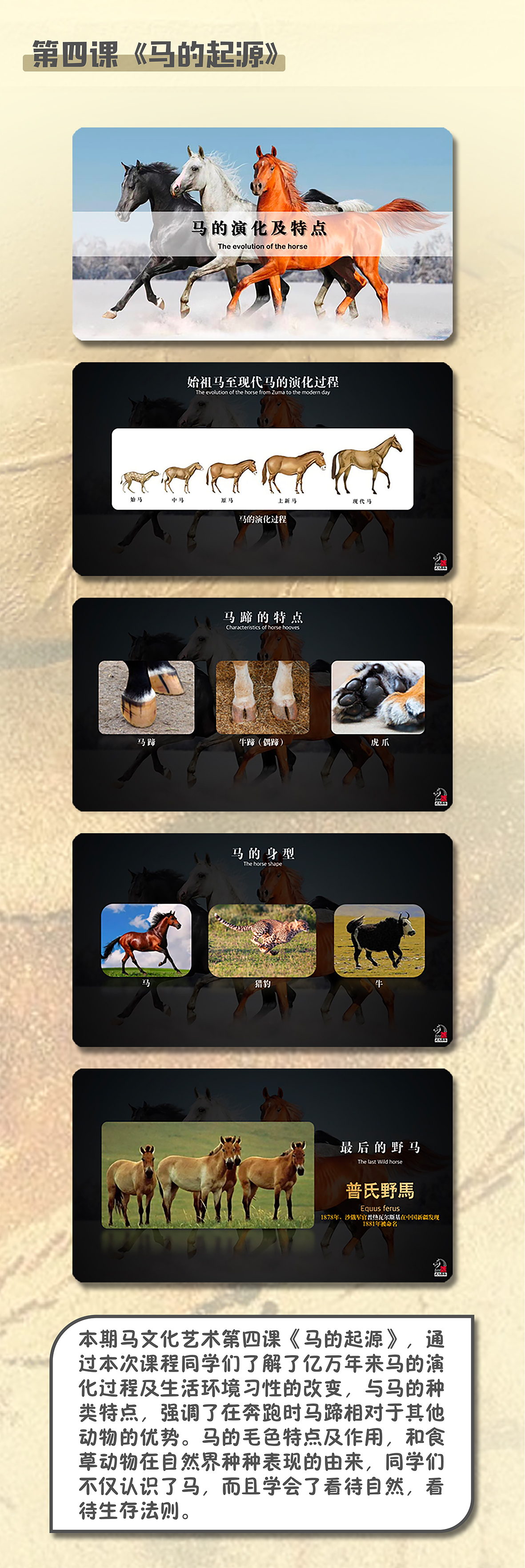武马艺术：马文化艺术体验课第一期完美收官