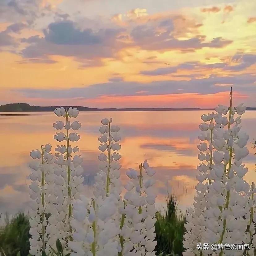 关于那些很拽的句子