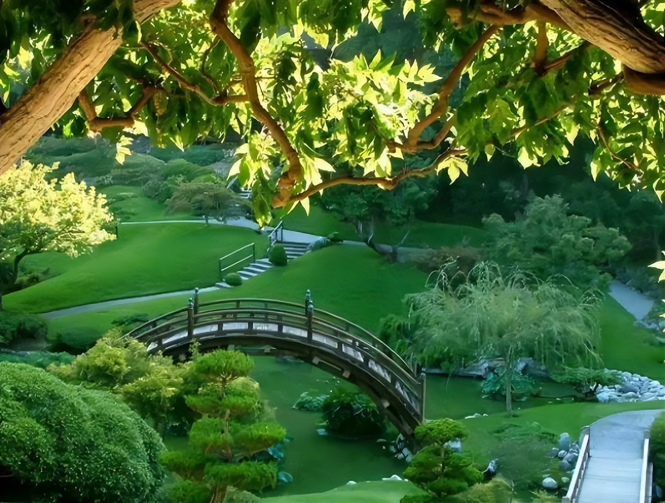 春天的小草，是最惹人怜爱的风景