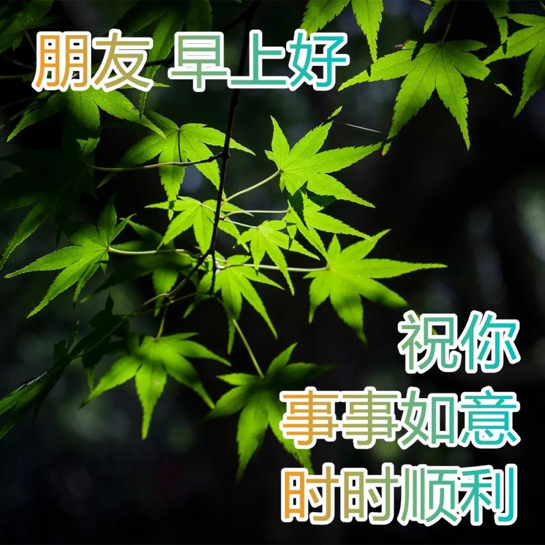 今天心情特别开心短句(2022.3.25早安心语，早上好正能量问候祝福语录，天天开心)