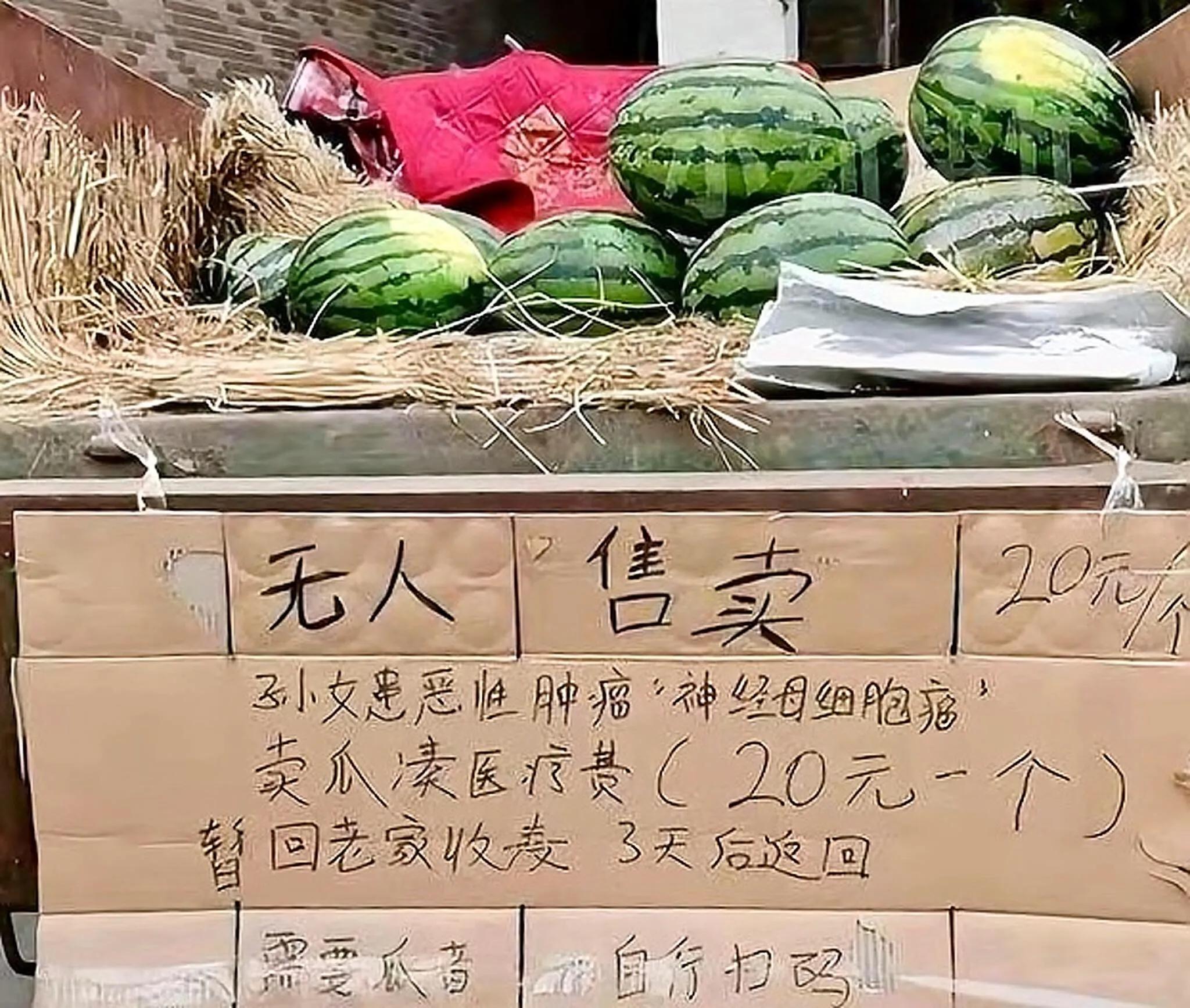 万万没想到第三季西瓜(河南的郑州，一位70多岁的老大爷为救3岁患瘤的孙女无人售卖西瓜)
