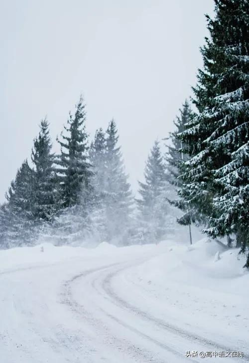 最美古诗词｜时光惊雪，雪落成诗，美到骨子里