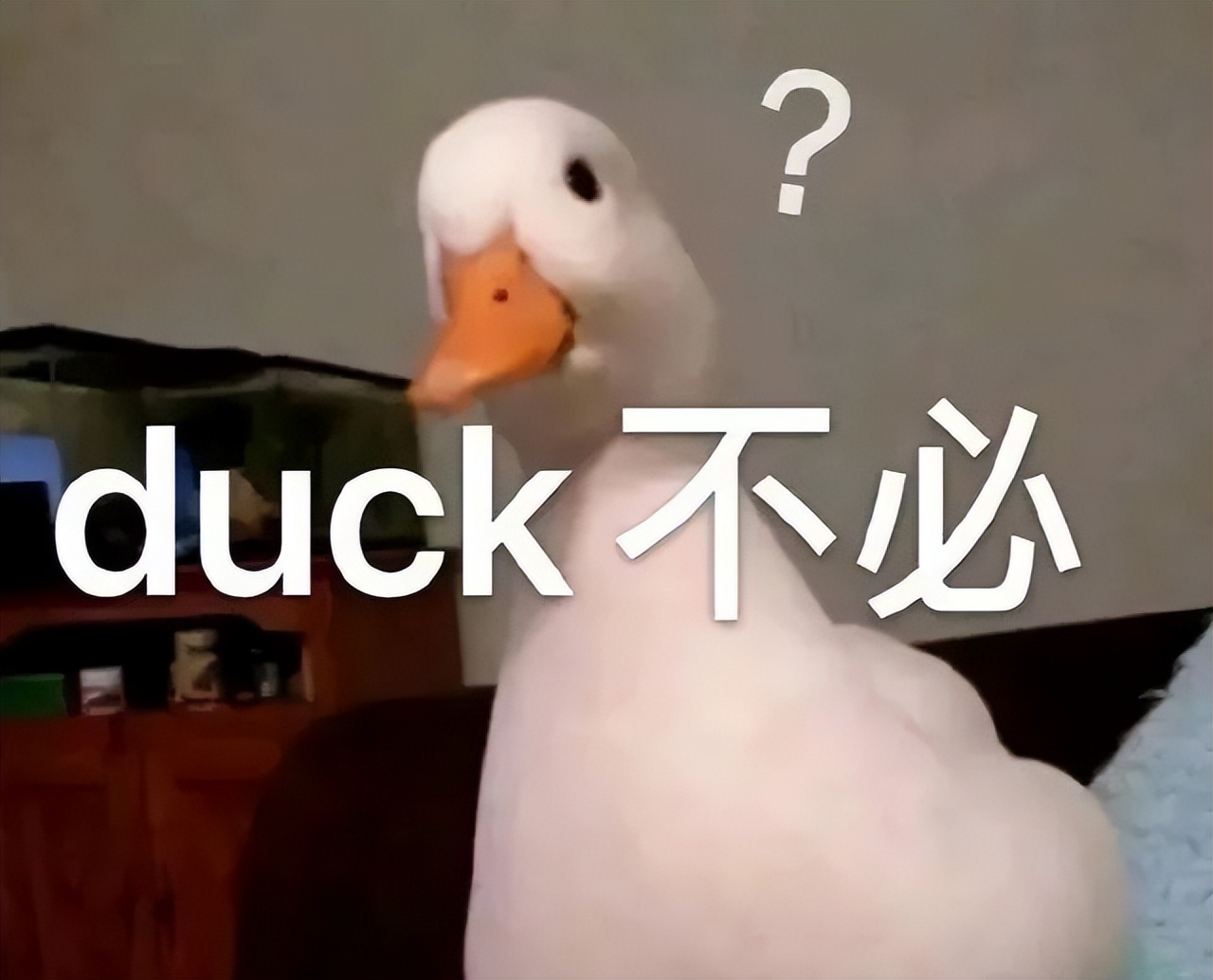 ˵ллʲô-12ͼƬ-Ѷ(xun)