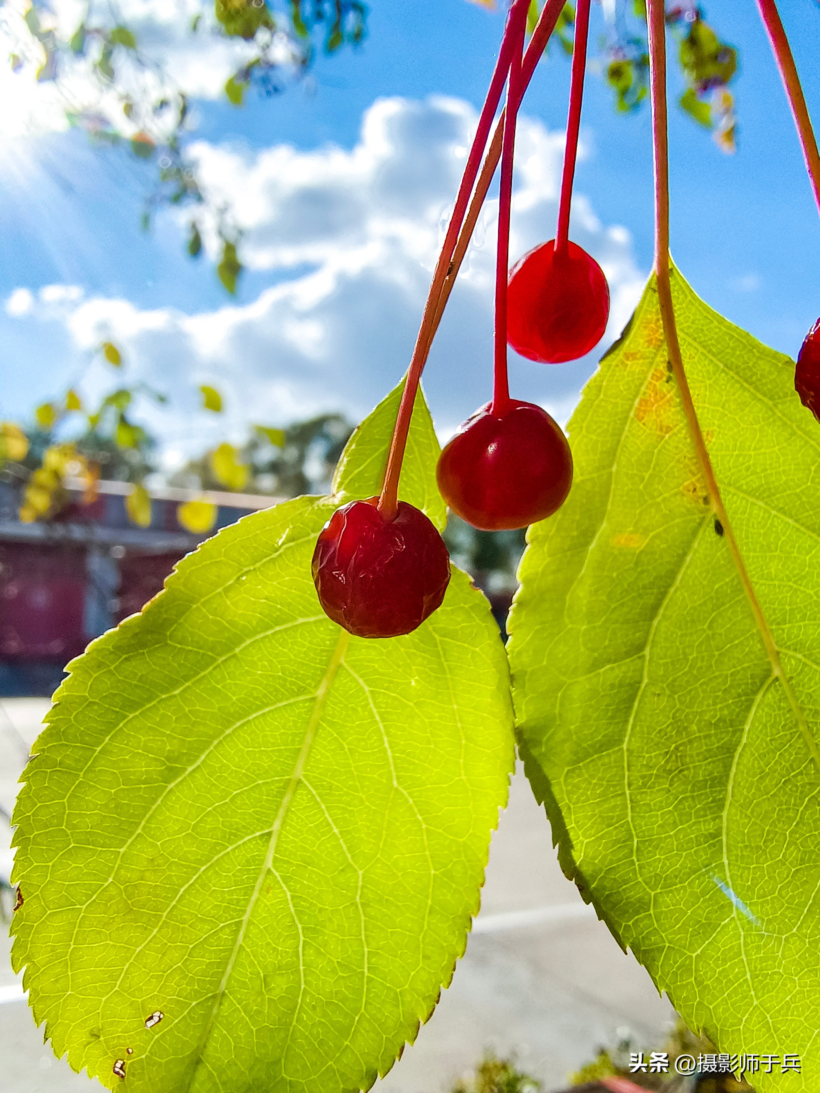 秋天唯美短句,最适合发朋友圈