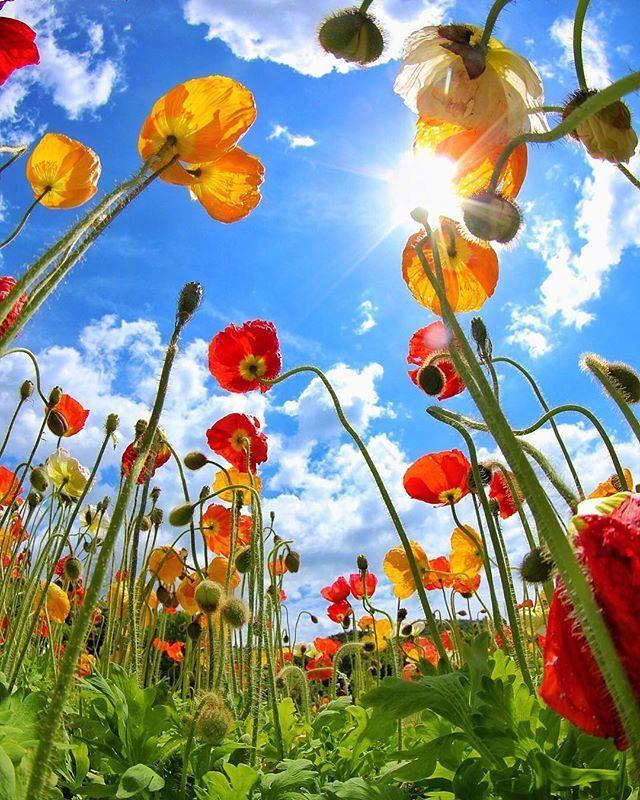 朋友圈小清新早安说说，短小精致，一秒倾心