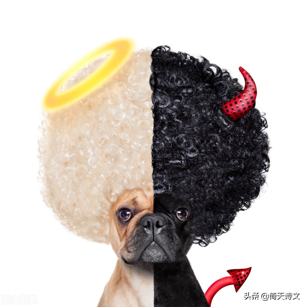十则传世经典，人生不如意时，静下心来读一遍