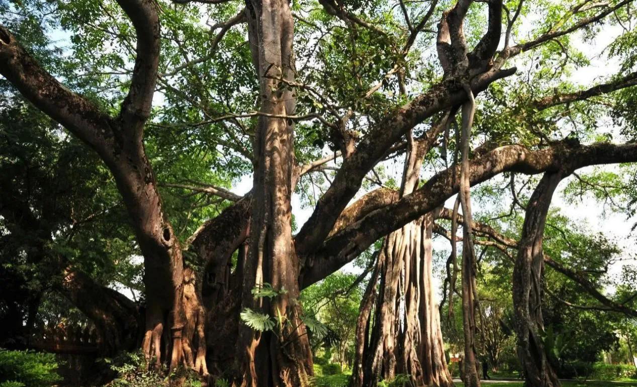 云南昆明旅游必去的景点（云南昆明旅游必去的景点和美食有哪些）-第7张图片-易算准