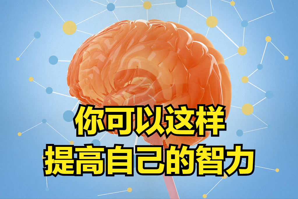 想提升你的智力？没难度，只要按照这6个步骤去做就行