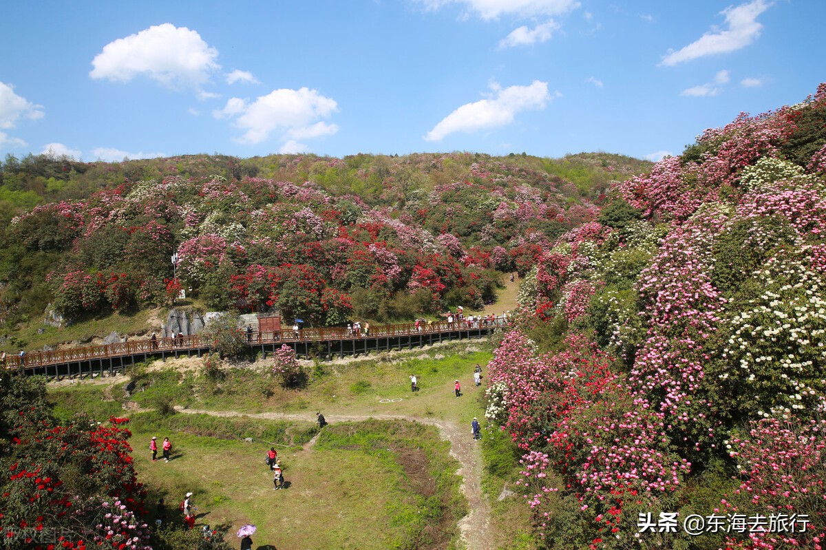 贵州最值得去旅行的十大景点，走遍神州大地，最美多彩贵州