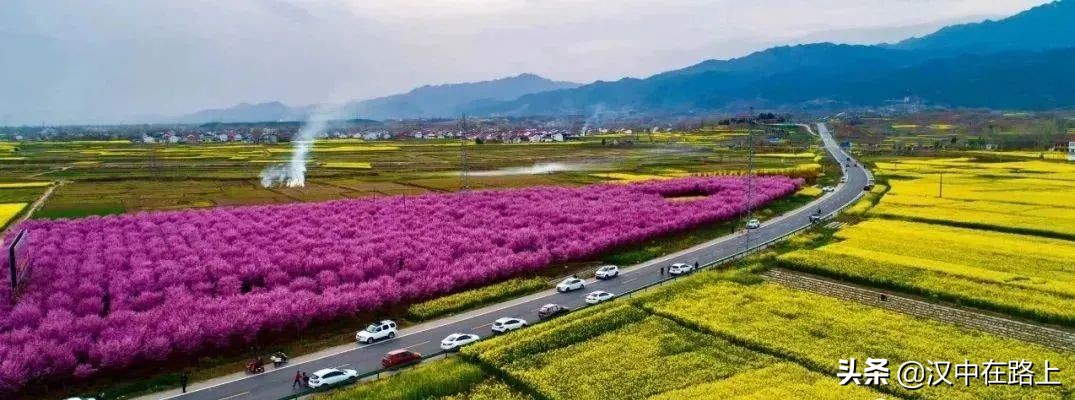 全部免費(fèi)！漢中鄉(xiāng)村賞花攻略出爐！妥妥安排