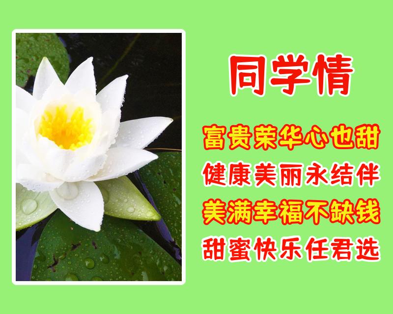 送给老同学的美好祝福语 祝福老同学的漂亮图片带字