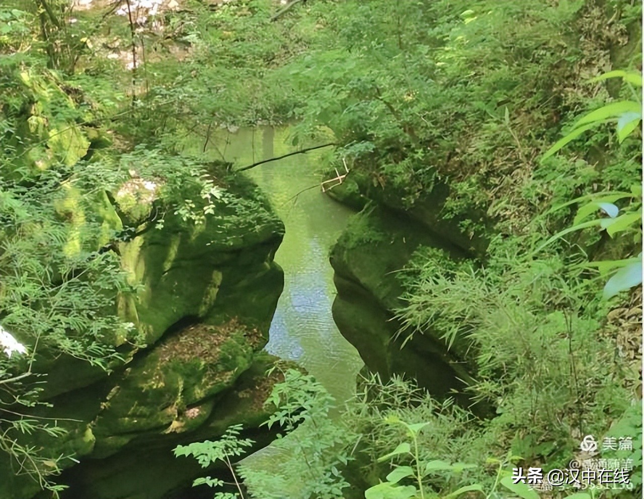 來此處踏青，不負(fù)春光不負(fù)卿