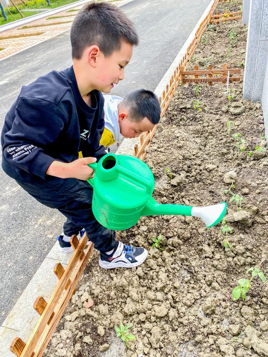 「责任教育 劳动课程」成都市双流区黄甲小学开发特色劳动种植课程