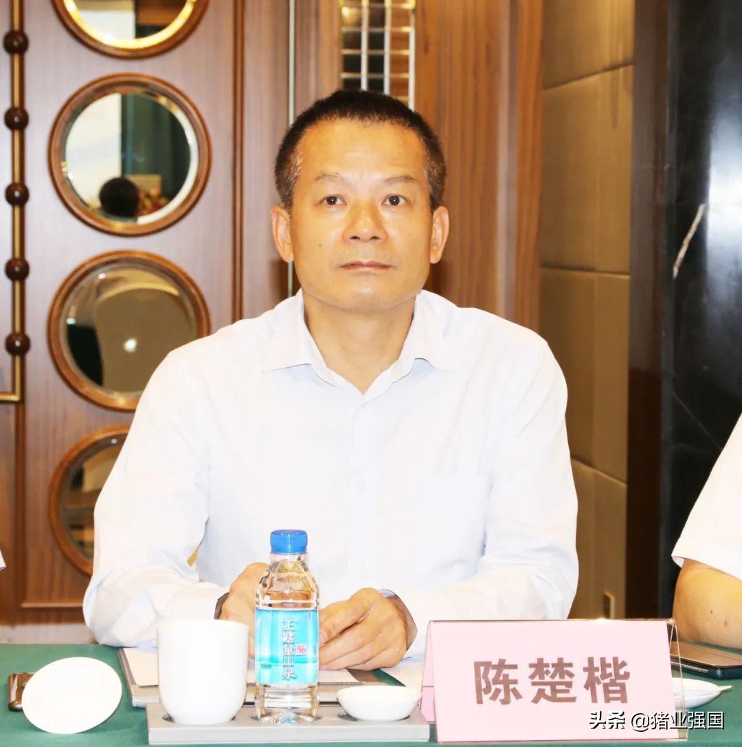 广东能繁母猪存栏188万头！一季度前10名生猪企业出栏量达到310.37万头