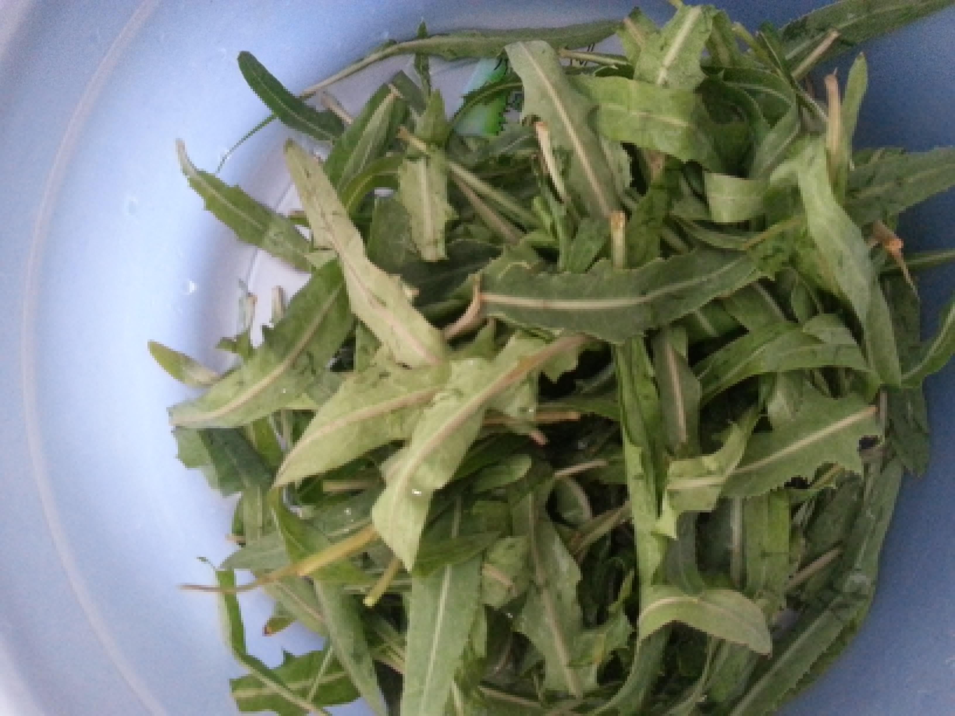 图片[3]-【苦菜馅饺子】做法步骤图  鲜嫩美味有营养-起舞食谱网