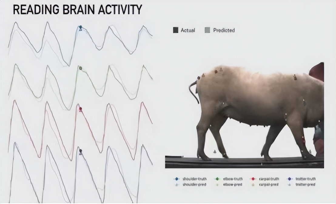 控制大脑，开启第二人生？马斯克的“大脑上传至云端”，意味着啥