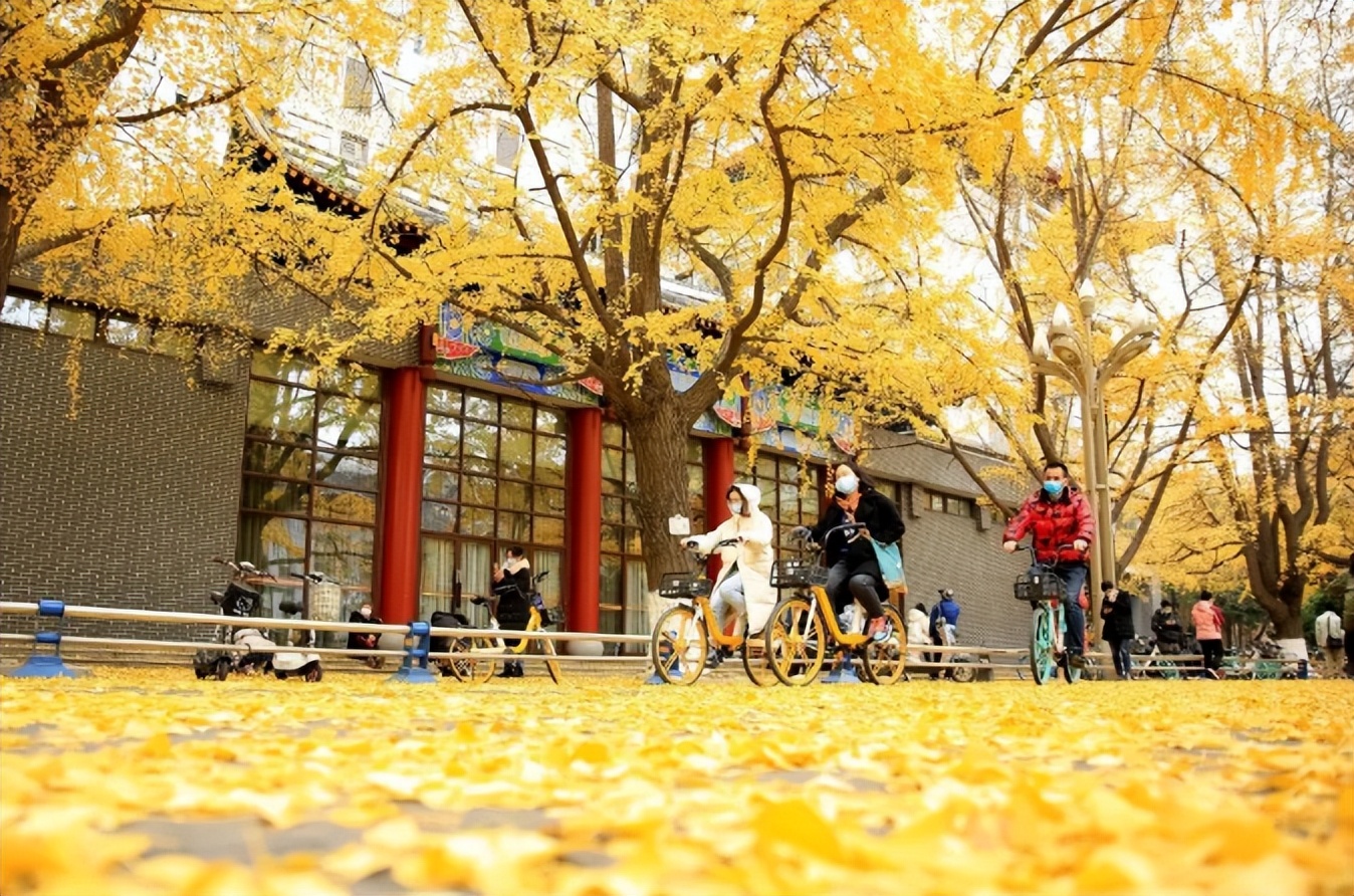 汇天下英才，育大国良医 ！ 欢迎报考川大华西！