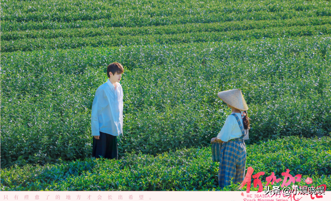 《何加加的桃花源记》好养眼，不仅有美景和靓女，还有帅哥和远方